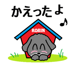 Robin daily sticker #10888355