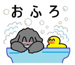 Robin daily sticker #10888357