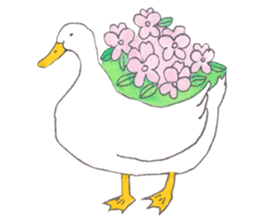 aruno of the duck sticker #10889086