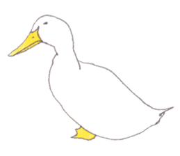 aruno of the duck sticker #10889110
