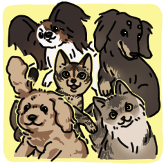 various dogs&cats.