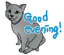 various dogs&cats. sticker #10889162