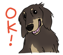 various dogs&cats. sticker #10889164