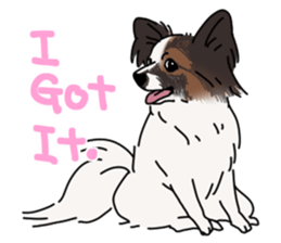 various dogs&cats. sticker #10889167