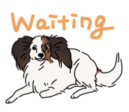 various dogs&cats. sticker #10889170