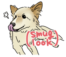 various dogs&cats. sticker #10889174