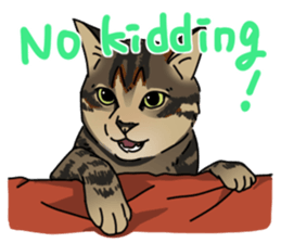 various dogs&cats. sticker #10889175