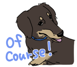 various dogs&cats. sticker #10889177