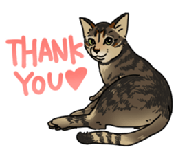 various dogs&cats. sticker #10889178