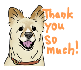 various dogs&cats. sticker #10889179