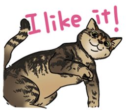 various dogs&cats. sticker #10889184