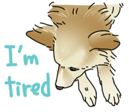 various dogs&cats. sticker #10889193