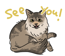 various dogs&cats. sticker #10889196