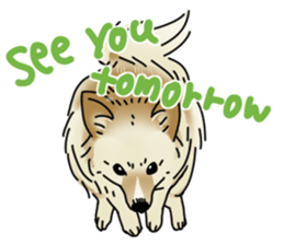 various dogs&cats. sticker #10889197