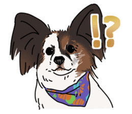 various dogs&cats. sticker #10889199