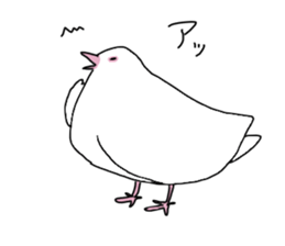 White pigeon sticker #10890763