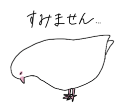 White pigeon sticker #10890764