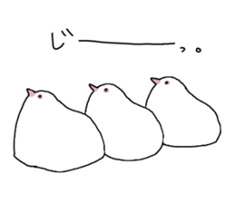 White pigeon sticker #10890768