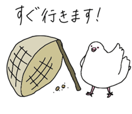 White pigeon sticker #10890769