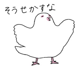 White pigeon sticker #10890773