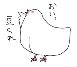 White pigeon sticker #10890774
