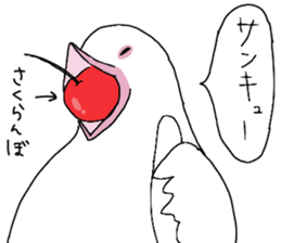 White pigeon sticker #10890775