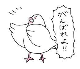 White pigeon sticker #10890777