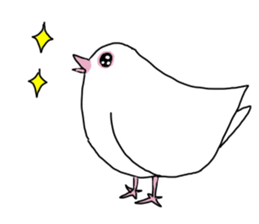 White pigeon sticker #10890778