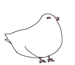 White pigeon sticker #10890779