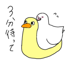 White pigeon sticker #10890786