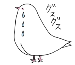 White pigeon sticker #10890795