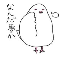 White pigeon sticker #10890797