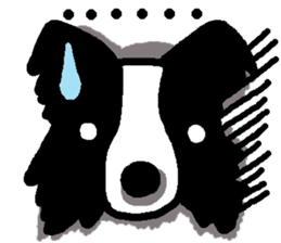 Border Collie BaoBao sticker #10892520