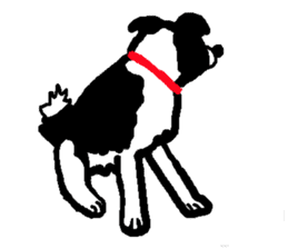 Border Collie BaoBao sticker #10892530
