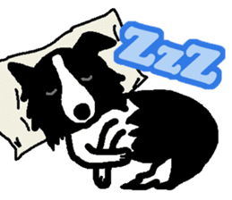 Border Collie BaoBao sticker #10892531