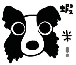 Border Collie BaoBao sticker #10892532