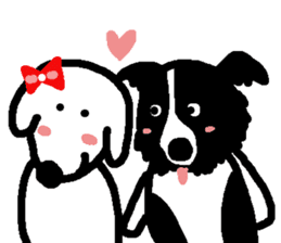 Border Collie BaoBao sticker #10892552