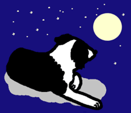 Border Collie BaoBao sticker #10892557