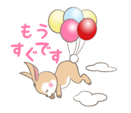 rabbit to rabbit sticker #10893165