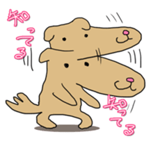 Know-it-all stickers sticker #10893561