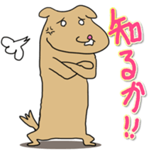 Know-it-all stickers sticker #10893588