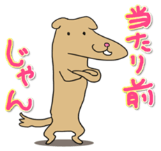 Know-it-all stickers sticker #10893590