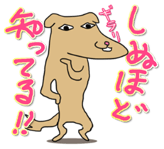 Know-it-all stickers sticker #10893593