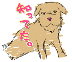 Know-it-all stickers sticker #10893599