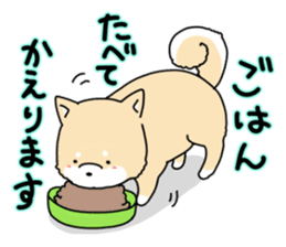 Usable Japanese midget Shiba sticker sticker #10894643