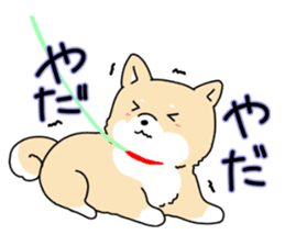 Usable Japanese midget Shiba sticker sticker #10894648