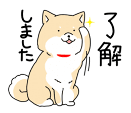 Usable Japanese midget Shiba sticker sticker #10894652