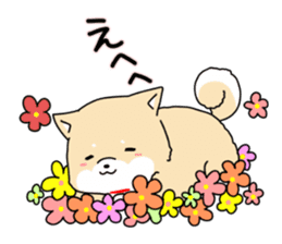 Usable Japanese midget Shiba sticker sticker #10894655