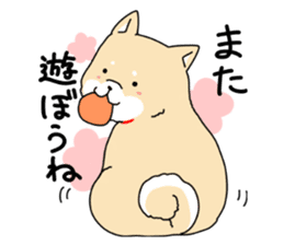 Usable Japanese midget Shiba sticker sticker #10894657