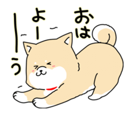 Usable Japanese midget Shiba sticker sticker #10894660